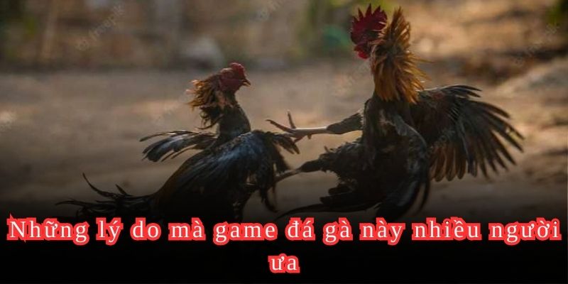 Những lý do mà game đá gà này nhiều người ưa thích